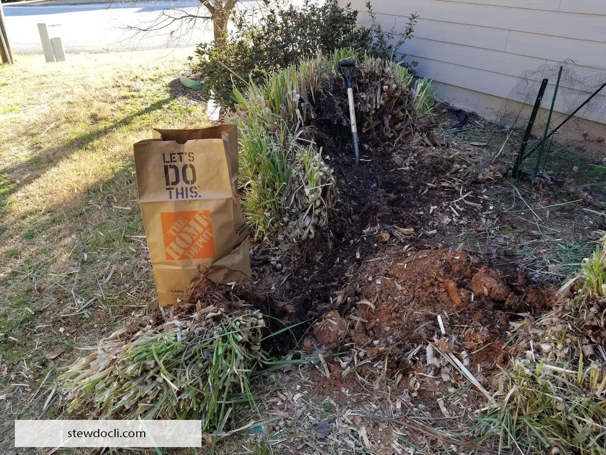 pampas-grass-removal-hard-work-ste-do-cli-got-part-of-it-woot