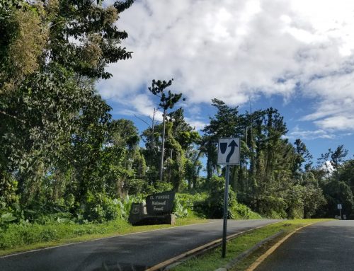Visiting the El Yunque National Park