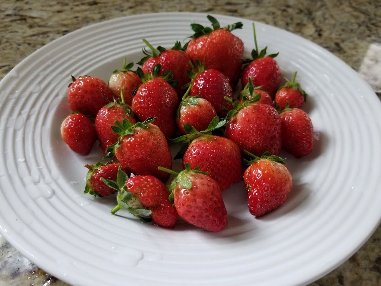 strawberries-from-the-garden-ste-do-cli